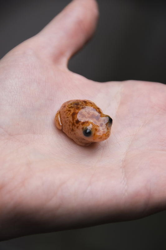Toads  — PolymerClay Figurine