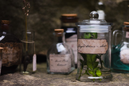 Victorian Apothecary Labels - 10 Vintage Fantasy Potion Bottle Labels, Printable Download