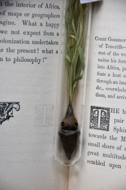 Grass Mandrake - PolymerClay Figurine in a test tube