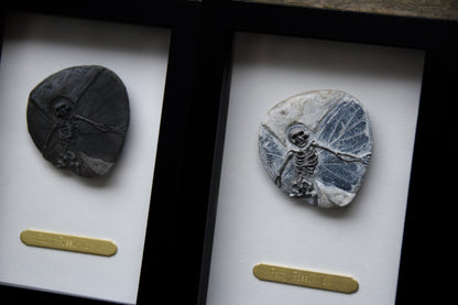 Fairy Fossil - Mini Framed Fairy Bones