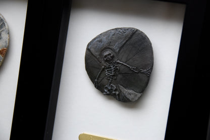 Fairy Fossil - Mini Framed Fairy Bones