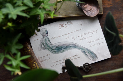 Selkie with Notes - Giclée Art Print