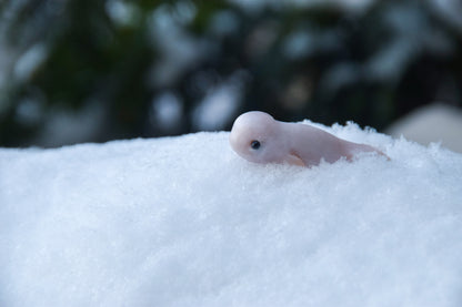 Beluga Whale - PolymerClay Figurine