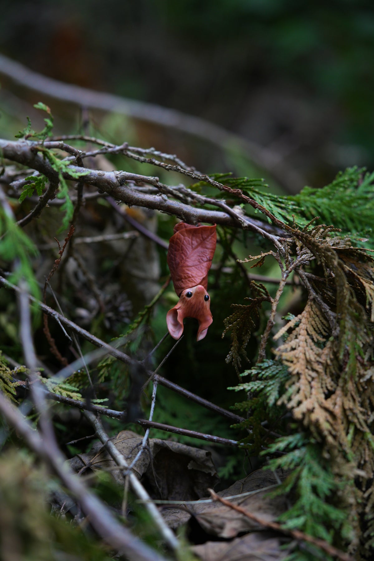 The Leaf Bat