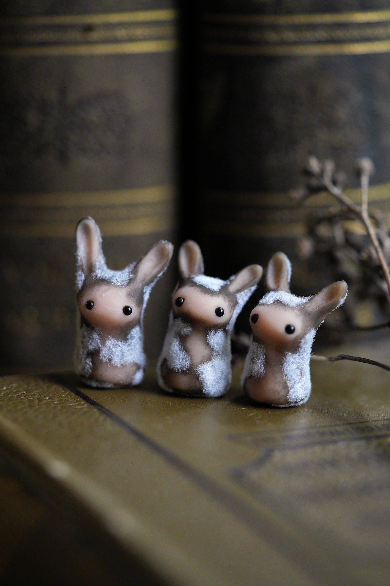 Dust Bunny