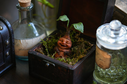 Mandrake Root