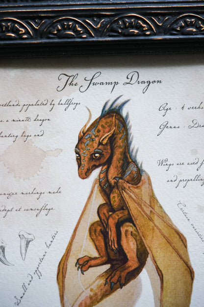 Swamp Dragon with Notes - Giclée Art Print