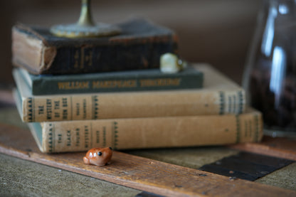 Toads  — PolymerClay Figurine