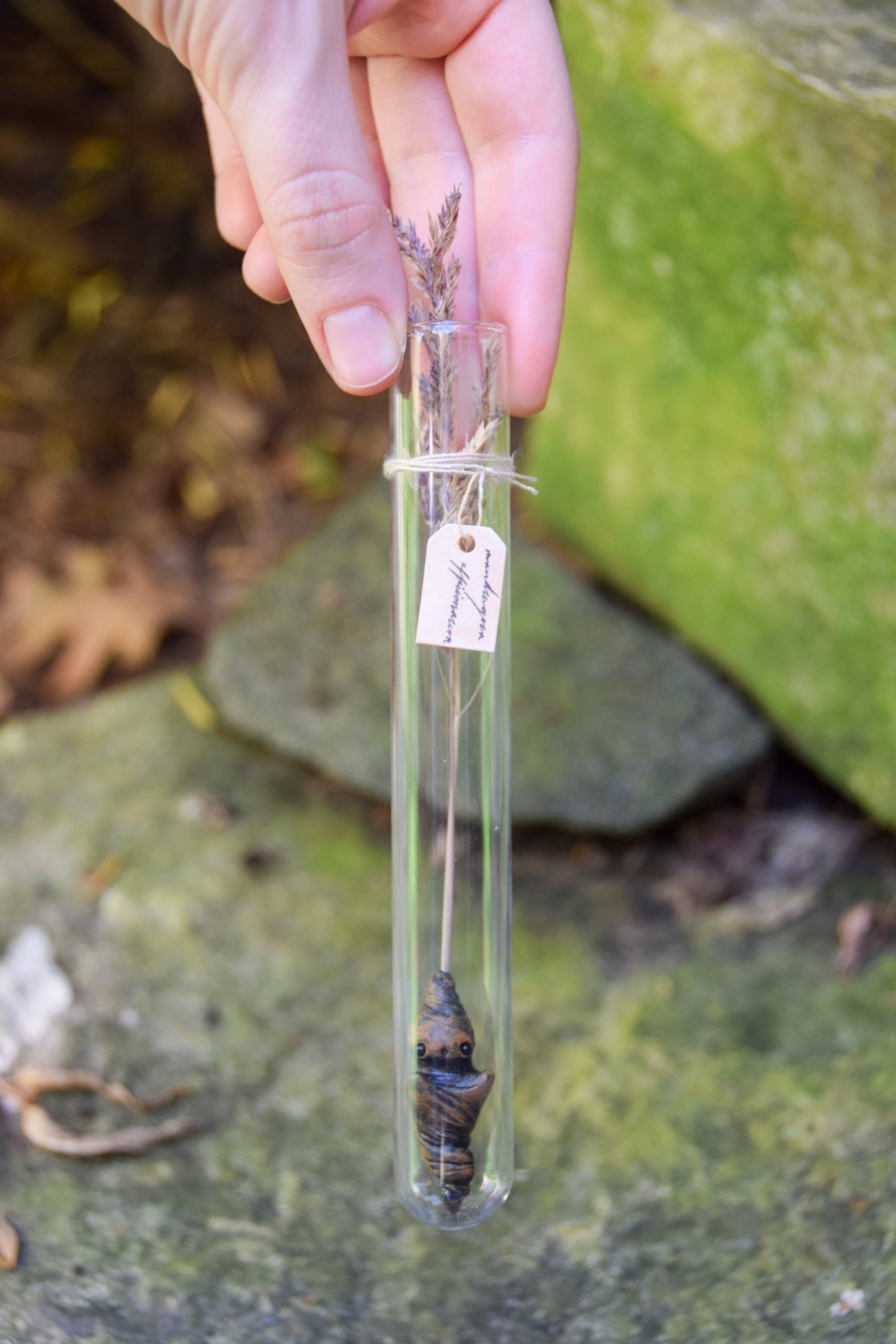 Grass Mandrake - PolymerClay Figurine in a test tube