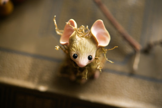 The Moss Mouse
