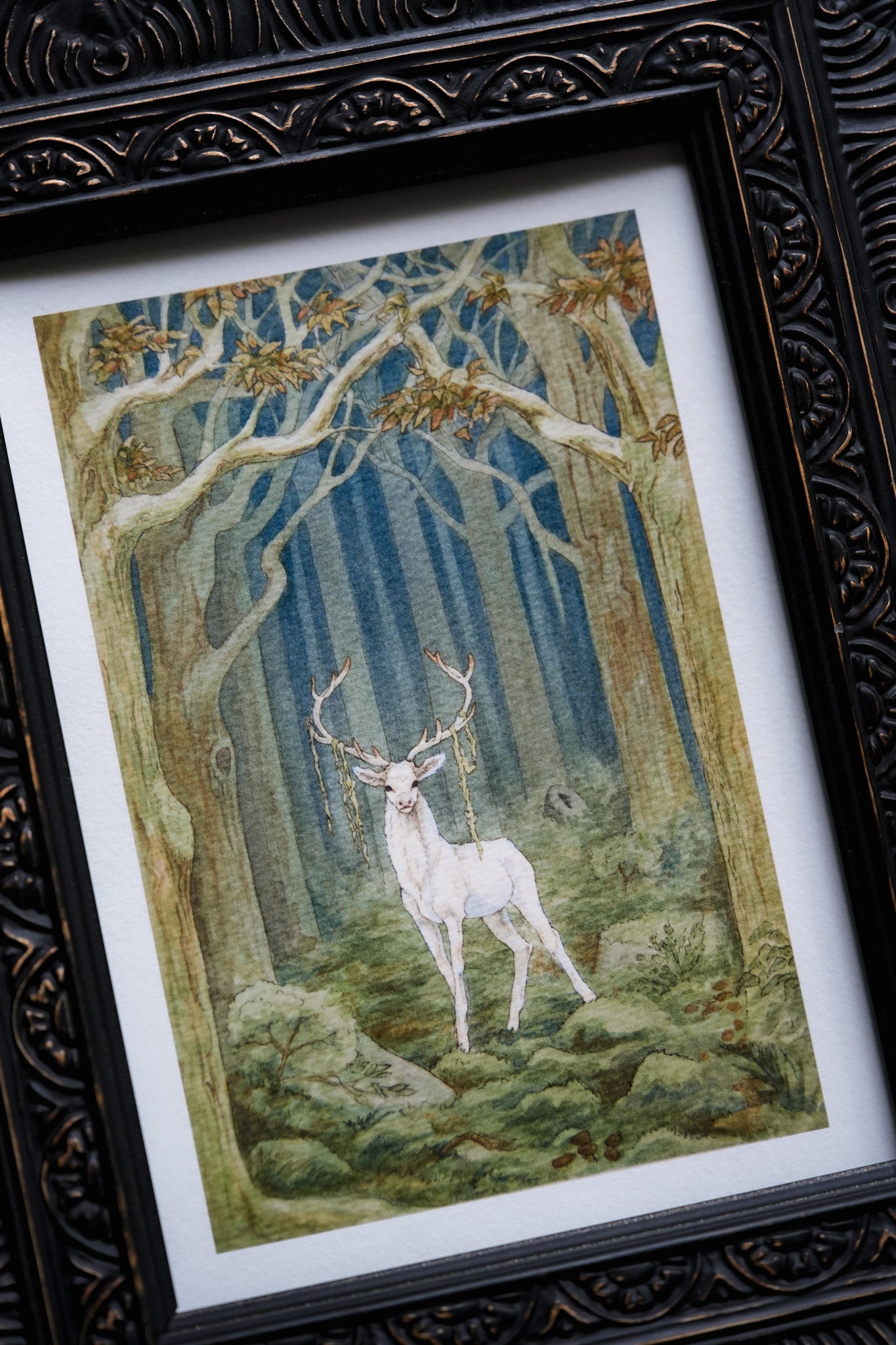 White Stag in the Dark Woods -  Giclée Art Print