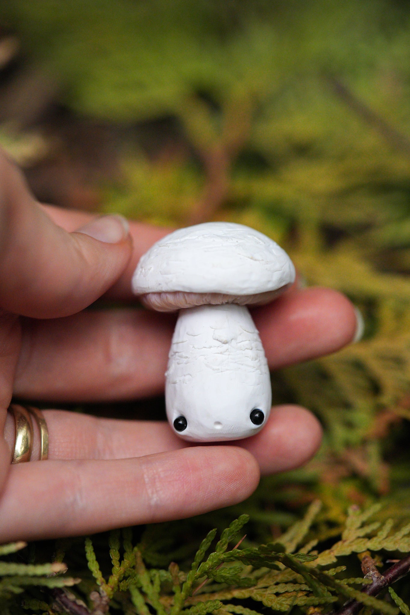 Mushrooms