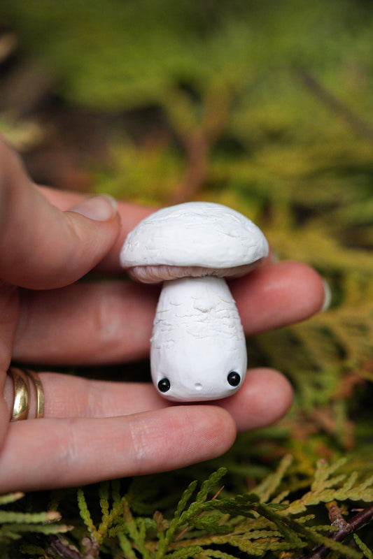 Mushrooms