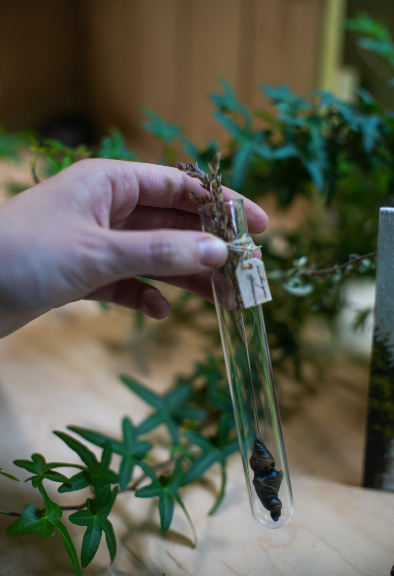 Grass Mandrake - PolymerClay Figurine in a test tube