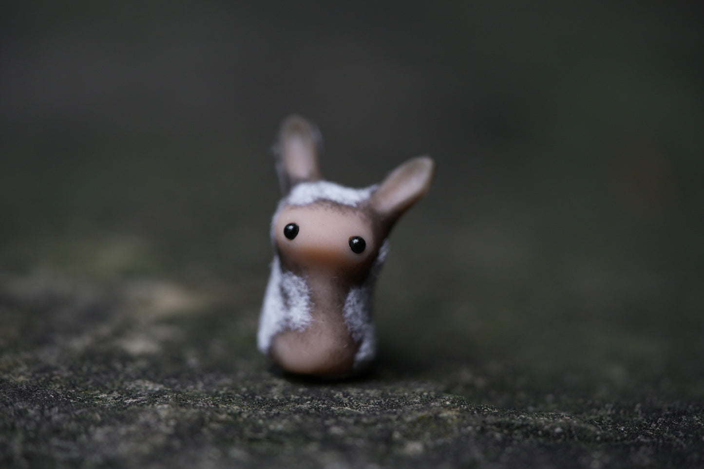 Dust Bunny