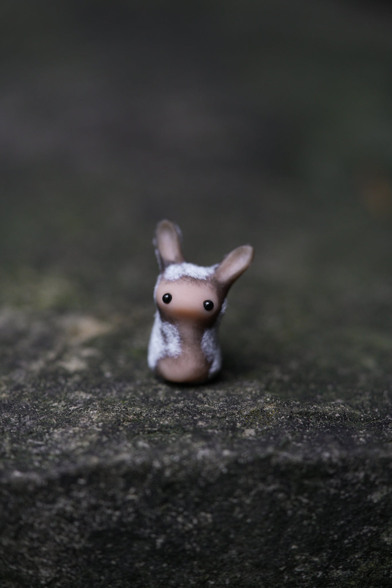 Dust Bunny