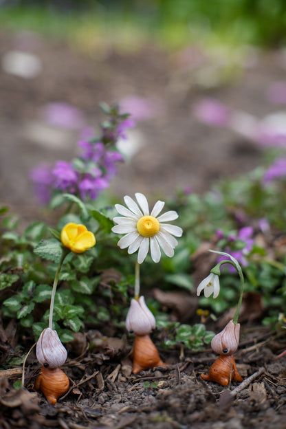 Winter Aconite — PolymerClay Figurine