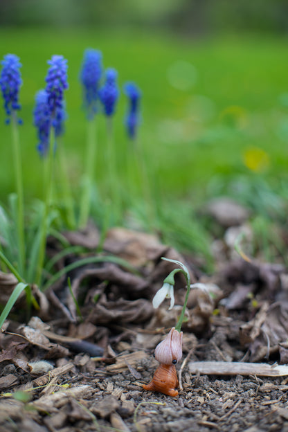 Snowdrop — PolymerClay Figurine