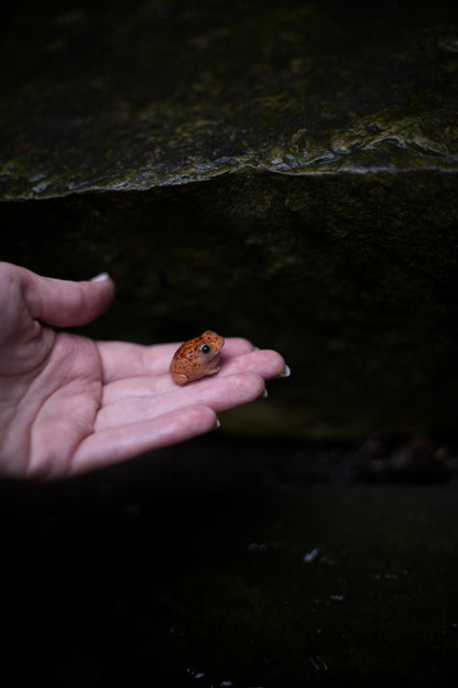 Toads  — PolymerClay Figurine